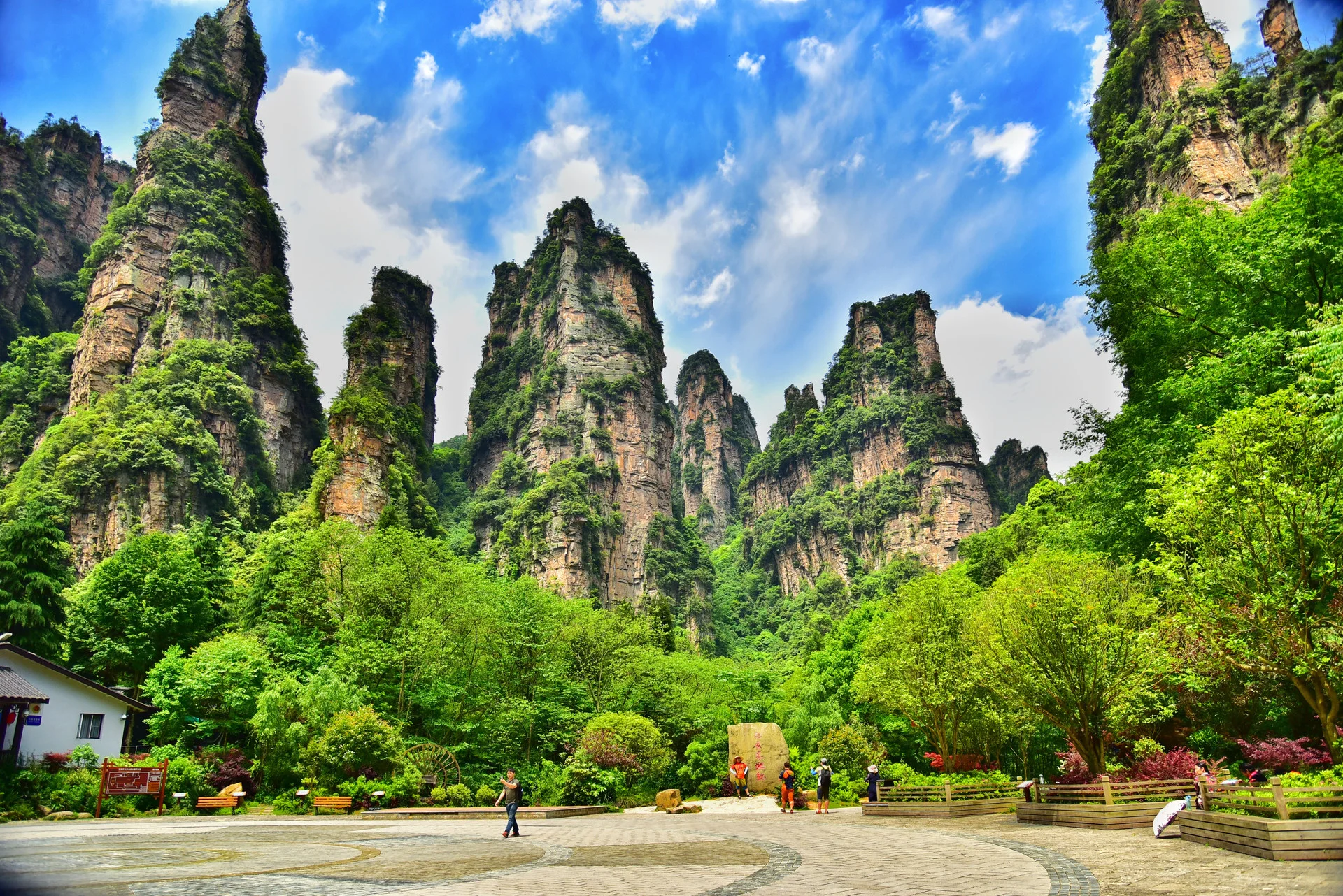 Avatar Hallelujah Mountain pillars in Zhangjiajie National Forest Park