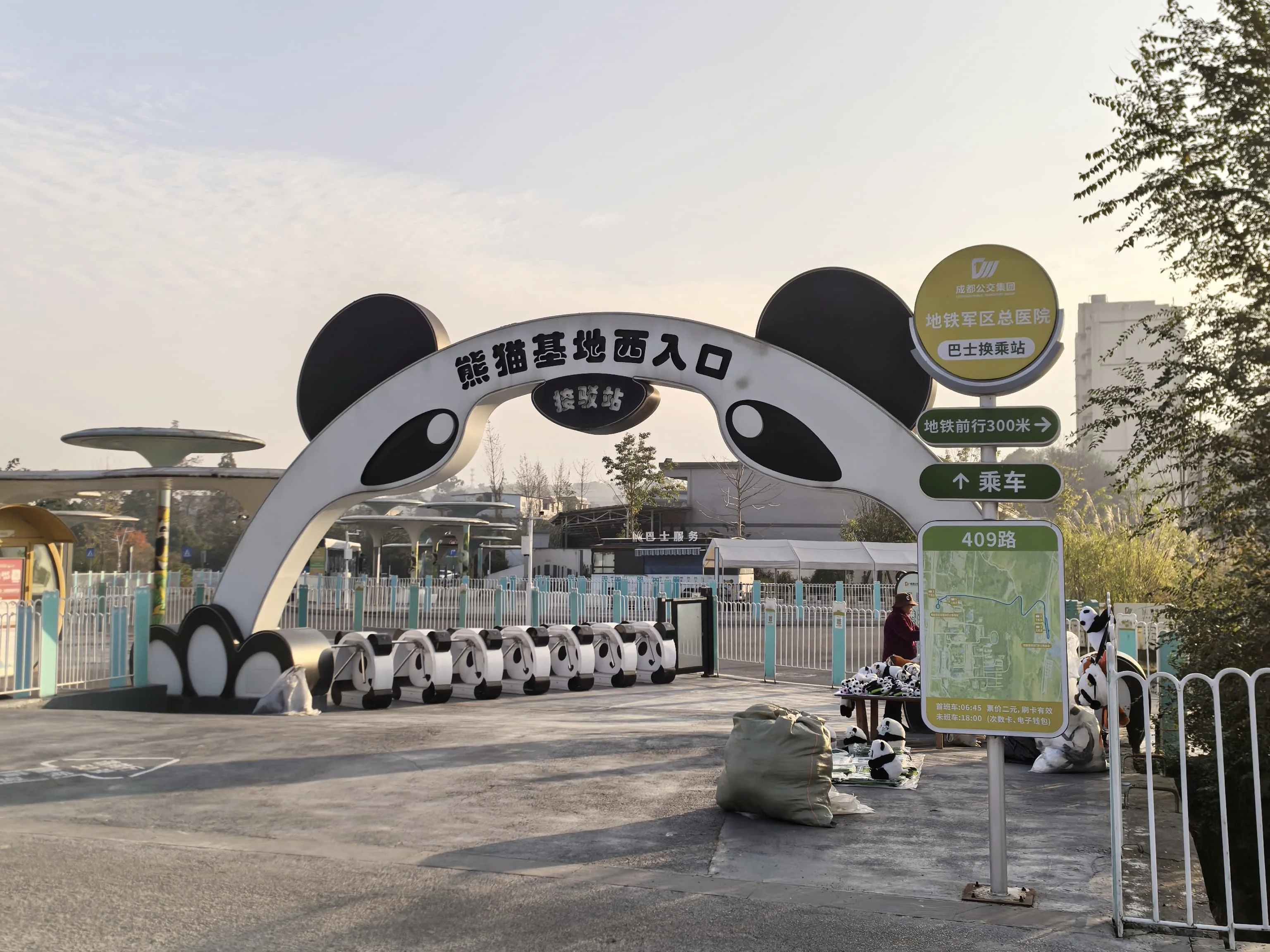 Giant panda eating bamboo at Chengdu Panda Base in the early morning
