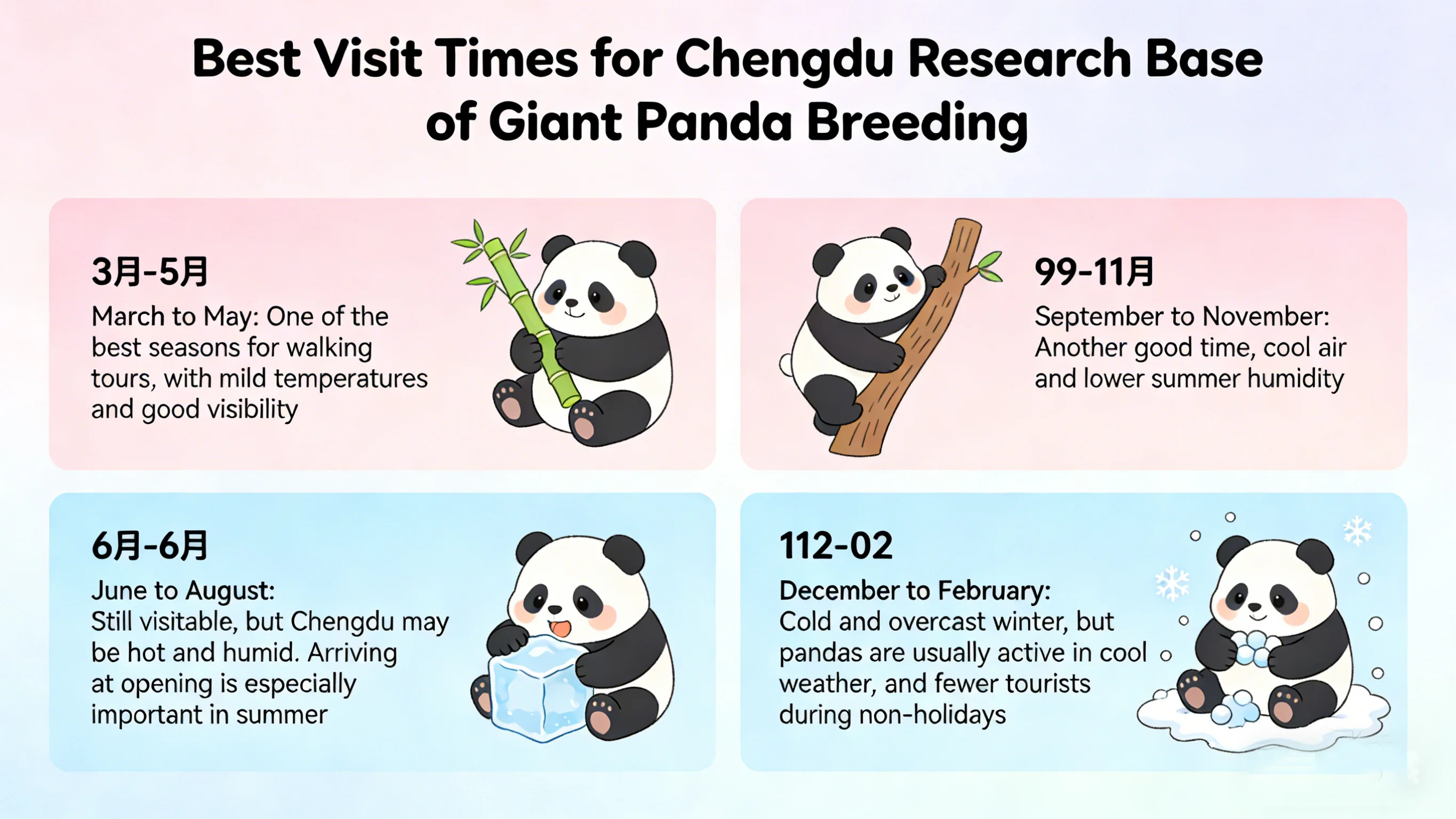 Chengdu Panda Base half-day route map with key stops and walking order