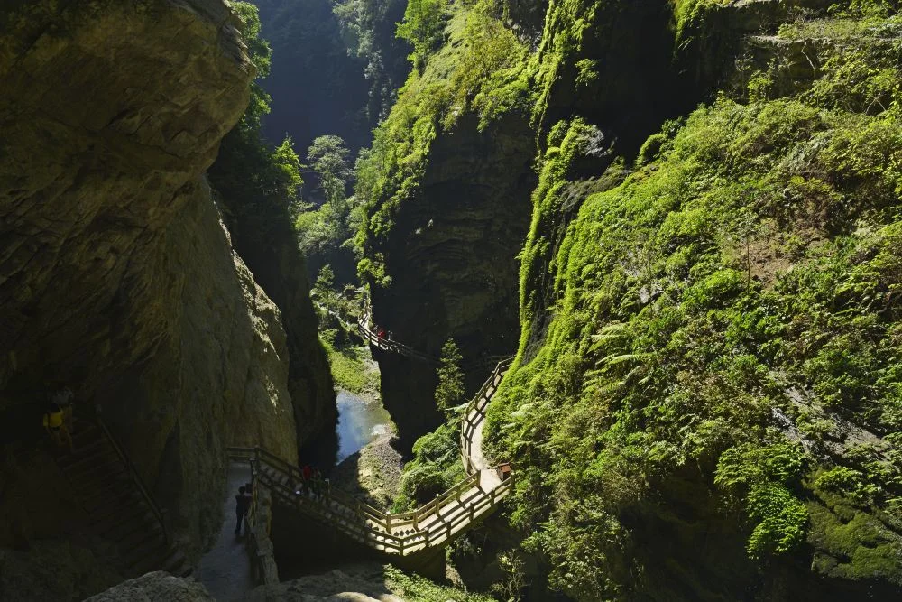Fairy Mountain grassland and forest scenery in Wulong near Chongqing