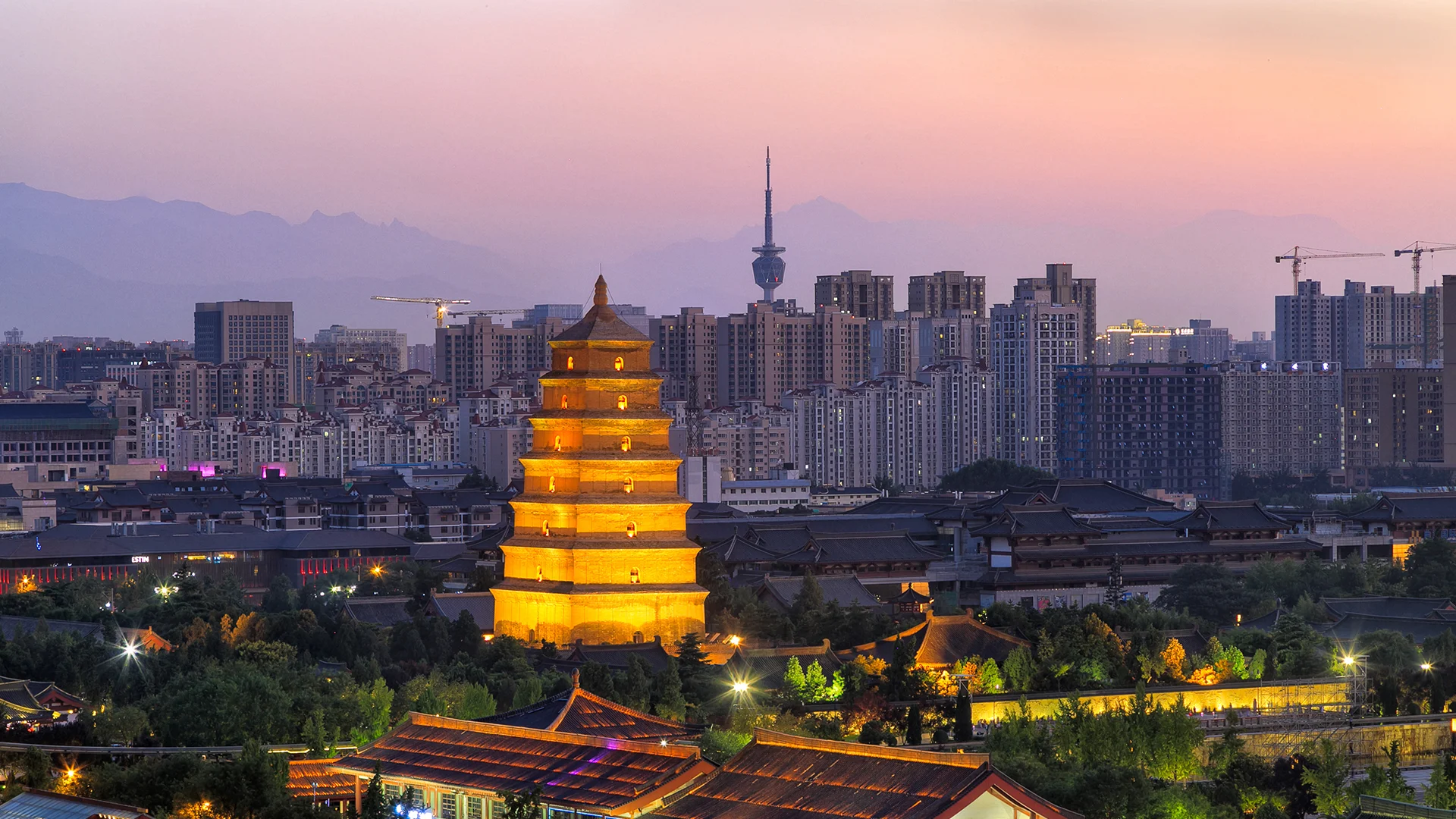 Private car and driver for a one-day Xi'an chartered tour