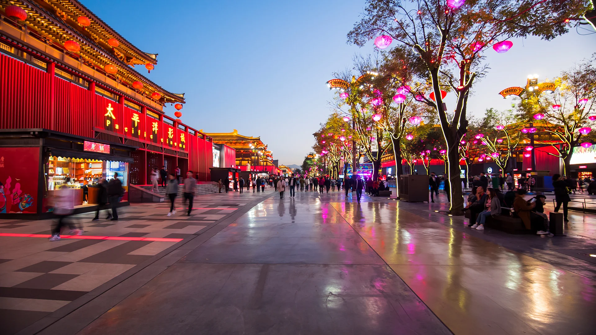 Terracotta Warriors pit near Xi'an on a private day tour
