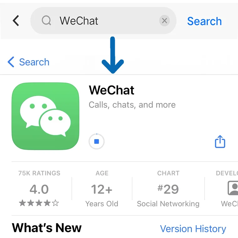 WeChat sign up page with phone number and region selection