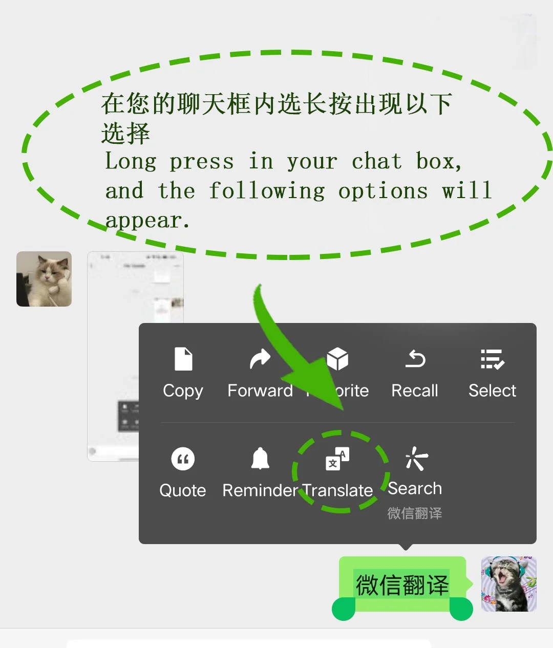 WeChat customer support or help center for common account issues