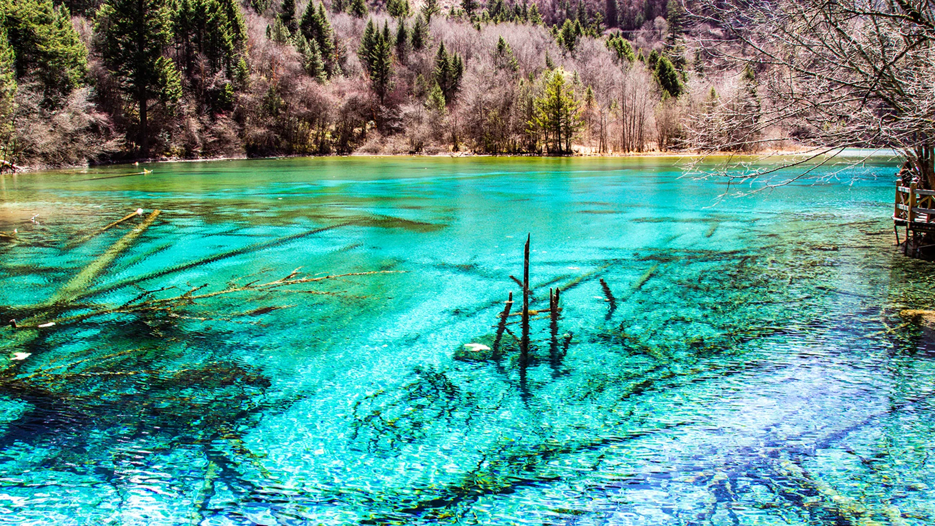 Wide and Narrow Alleys courtyard street in Chengdu