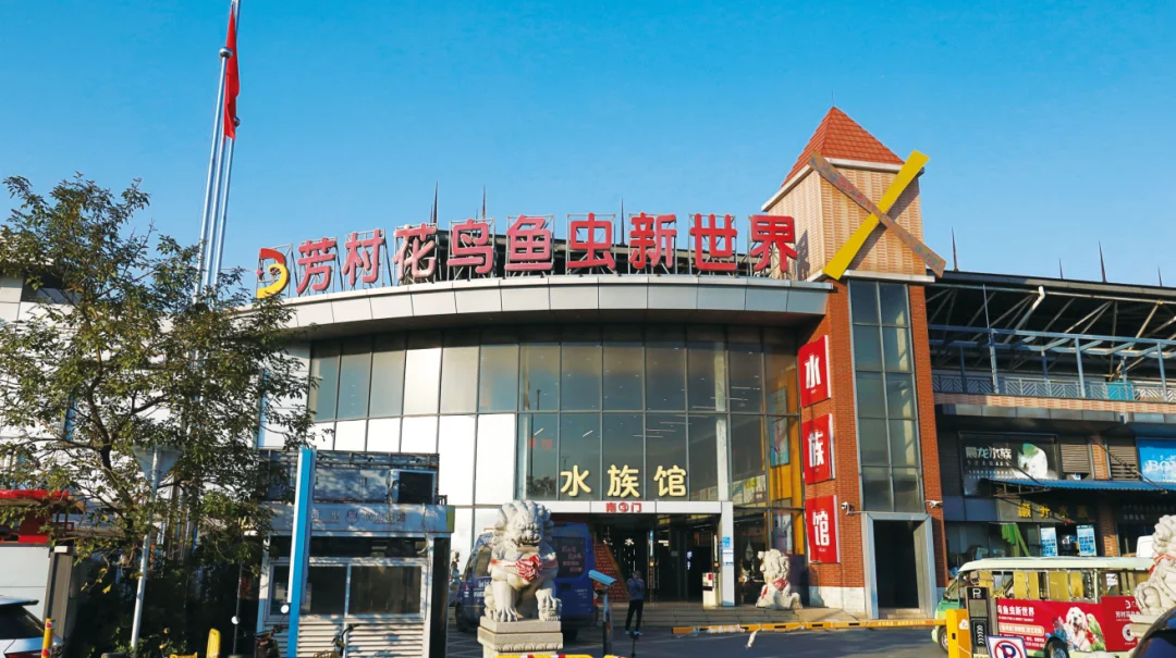 Buyer inspecting products in a Guangzhou wholesale market with logistics and sourcing support