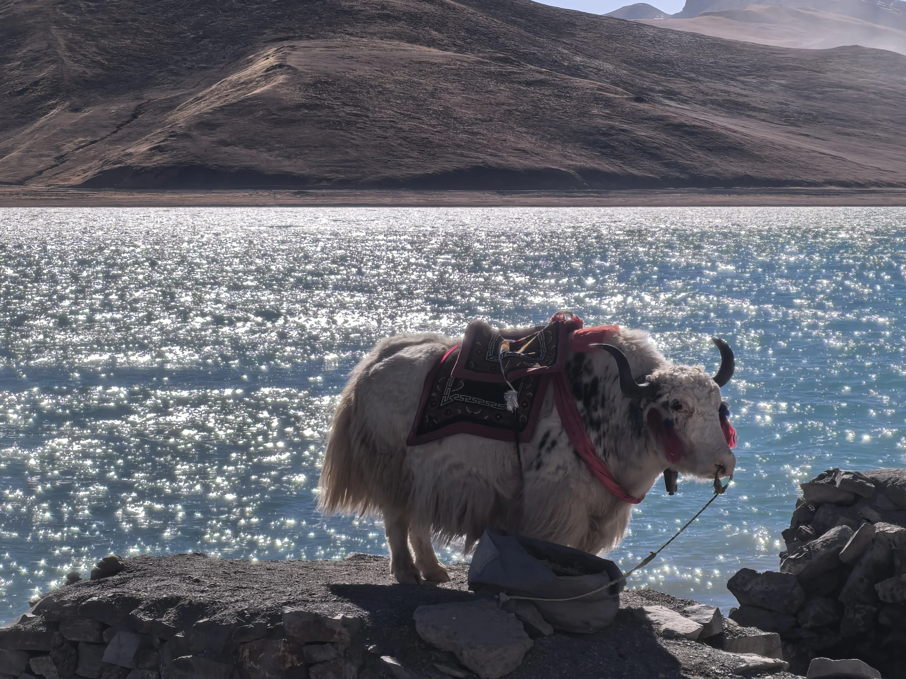 Traveler resting in Lhasa while adjusting to Tibet’s high altitude
