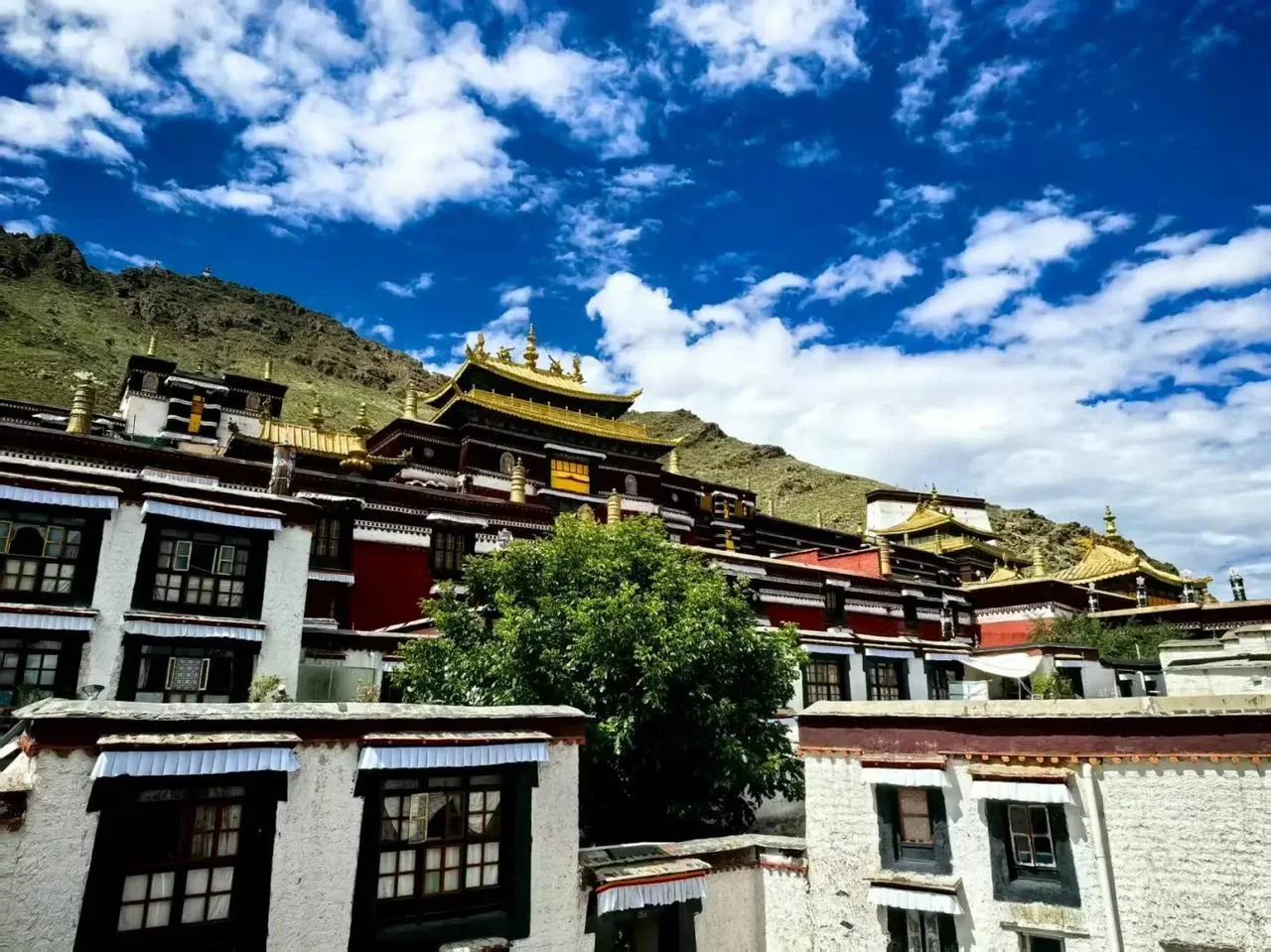 Tibetan prayer flags fluttering over a mountain pass