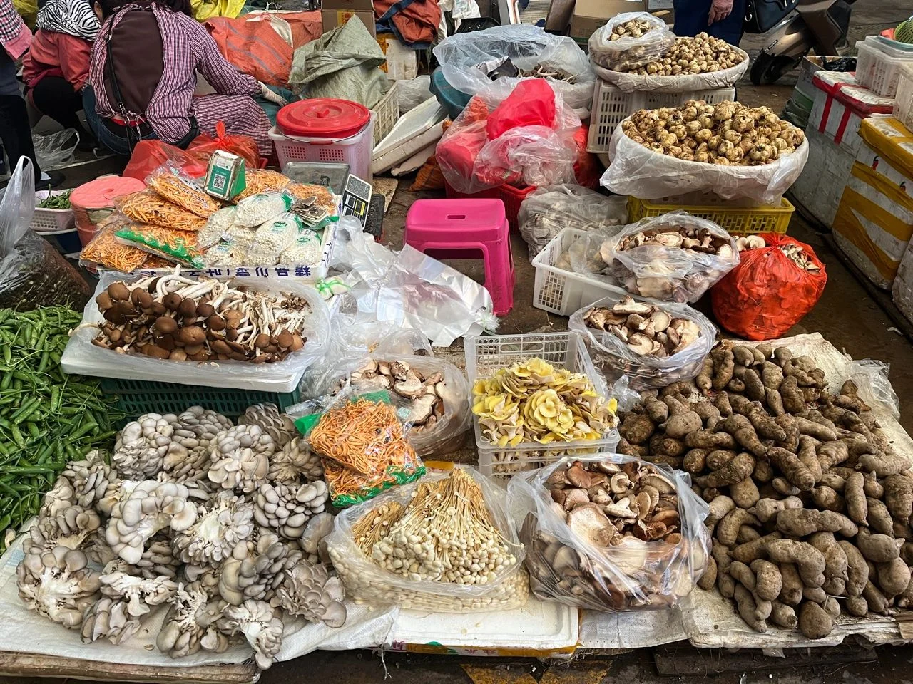 Pudacuo National Park lake and autumn forest in Shangri-La