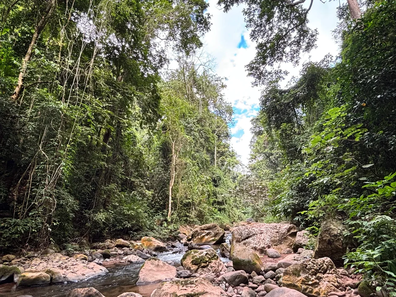 Tiger Leaping Gorge trail above the Jinsha River in northwest Yunnan