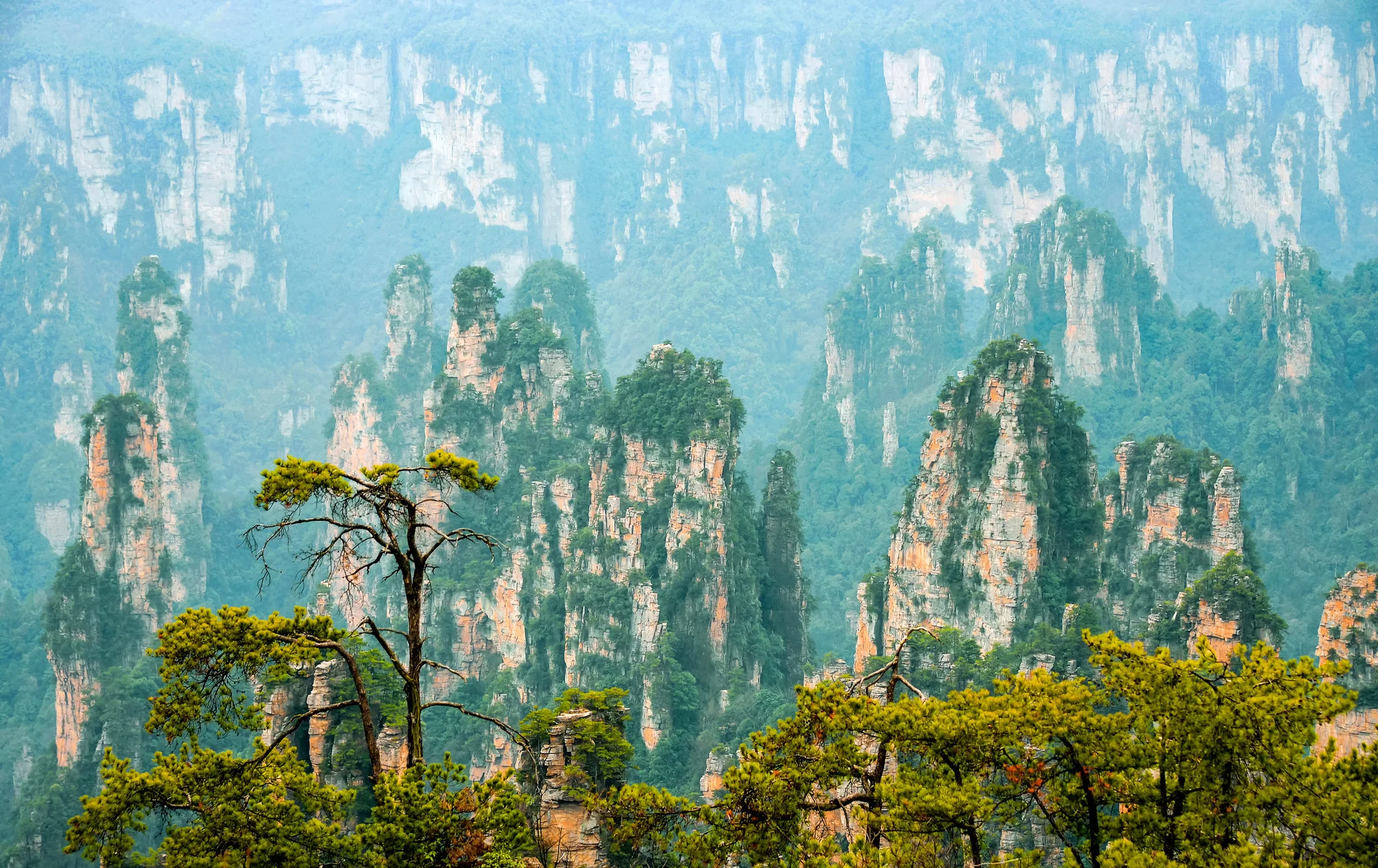 Zhangjiajie National Forest Park cliff peaks and lush forest