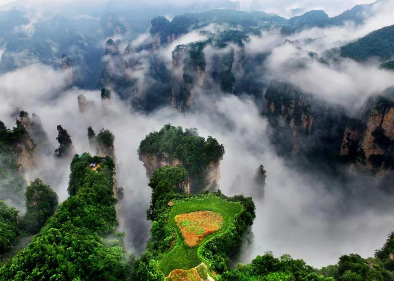 Tianzi Mountain viewpoint over Zhangjiajie National Forest Park