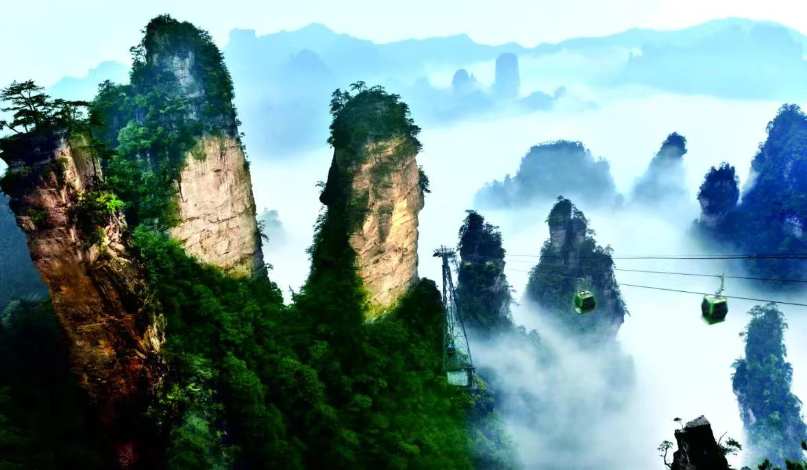 Golden Whip Stream path through Zhangjiajie forest and cliffs