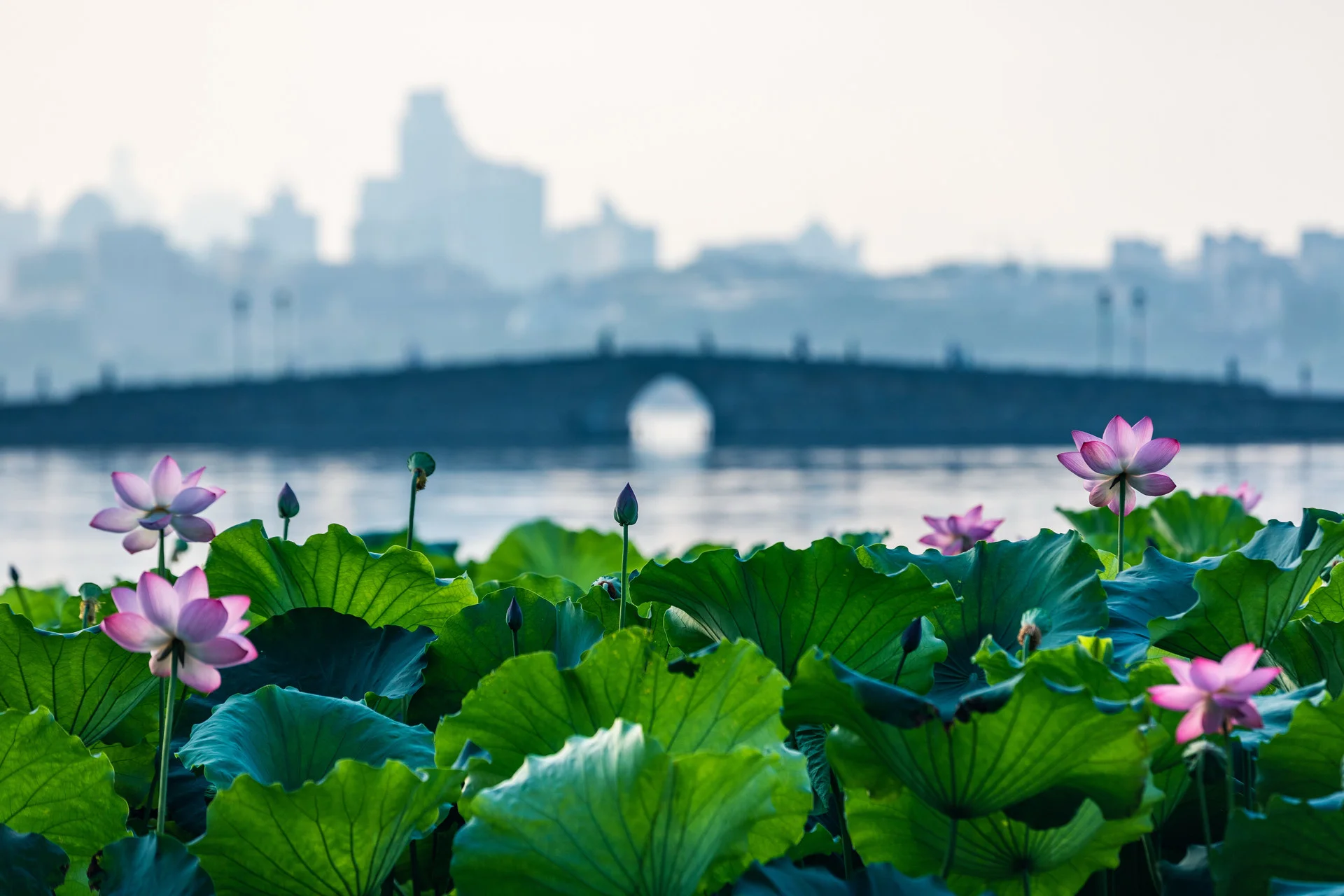 Boat cruising across West Lake with Hangzhou skyline and misty hills